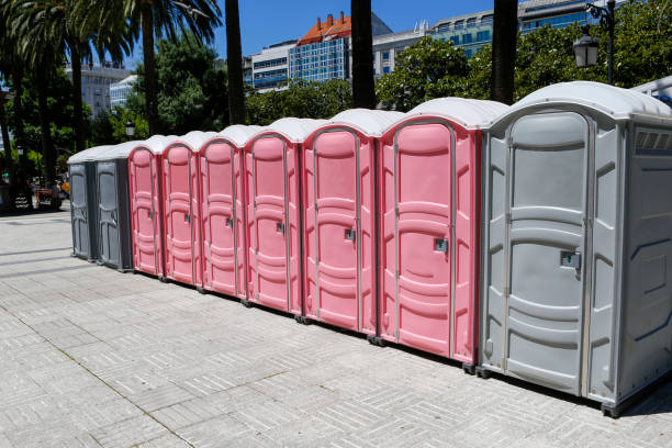 Portable Toilet Rental for Emergency Services in Shenandoah, VA