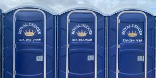 Best Portable Toilets for Disaster Relief Sites  in Shenandoah, VA